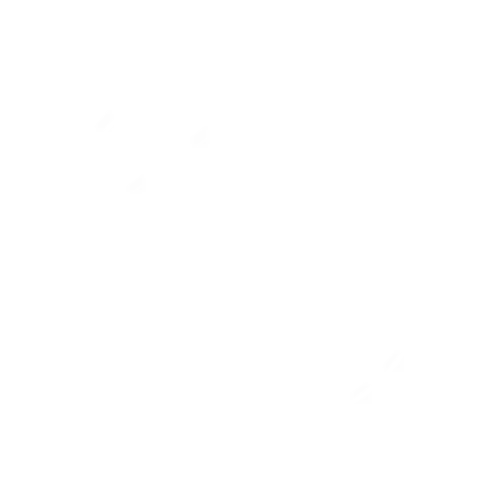A Souza